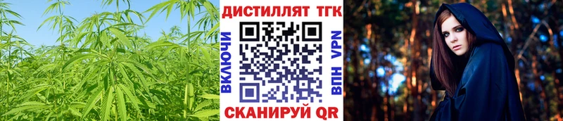 купить наркотик  Хвалынск  Дистиллят ТГК гашишное масло 