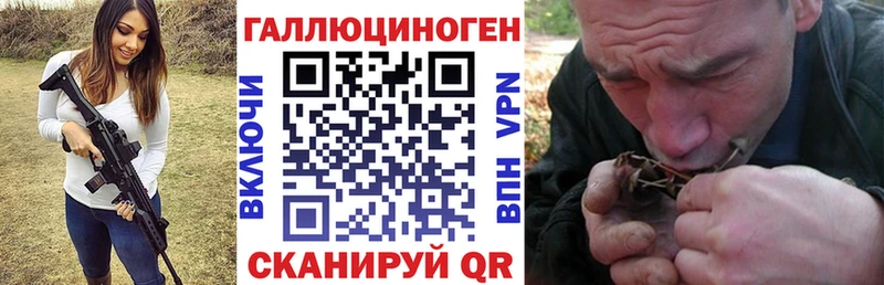Галлюциногенные грибы Psilocybe как найти Хвалынск